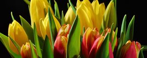 Preview wallpaper tulips, flowers, buds, flower, light, black background