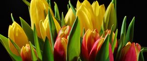 Preview wallpaper tulips, flowers, buds, flower, light, black background