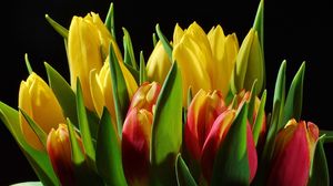 Preview wallpaper tulips, flowers, buds, flower, light, black background