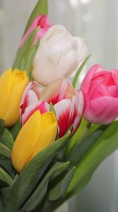 Preview wallpaper tulips, flowers, colorful, bouquet, spring