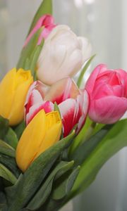 Preview wallpaper tulips, flowers, colorful, bouquet, spring