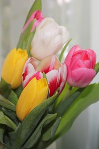 Preview wallpaper tulips, flowers, colorful, bouquet, spring