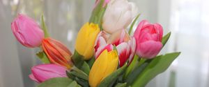 Preview wallpaper tulips, flowers, colorful, bouquet, spring