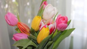 Preview wallpaper tulips, flowers, colorful, bouquet, spring