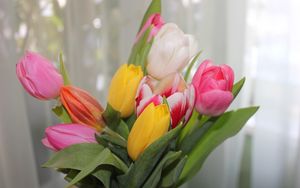 Preview wallpaper tulips, flowers, colorful, bouquet, spring