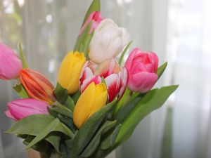 Preview wallpaper tulips, flowers, colorful, bouquet, spring