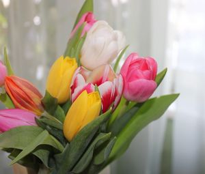 Preview wallpaper tulips, flowers, colorful, bouquet, spring