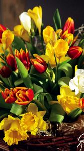 Preview wallpaper tulips, flowers, daffodils, flower, spring, chic, shopping