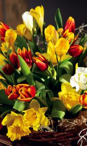 Preview wallpaper tulips, flowers, daffodils, flower, spring, chic, shopping