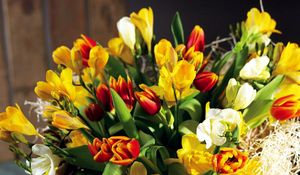 Preview wallpaper tulips, flowers, daffodils, flower, spring, chic, shopping