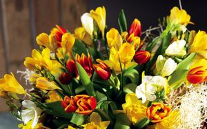 Preview wallpaper tulips, flowers, daffodils, flower, spring, chic, shopping