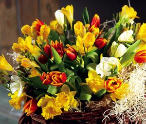 Preview wallpaper tulips, flowers, daffodils, flower, spring, chic, shopping