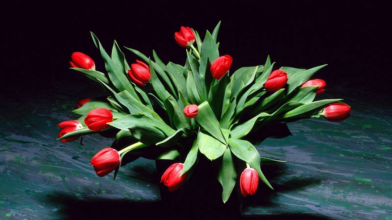 Wallpaper tulips, flowers, flower, shade, petals, vase