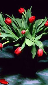 Preview wallpaper tulips, flowers, flower, shade, petals, vase