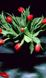 Preview wallpaper tulips, flowers, flower, shade, petals, vase