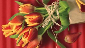 Preview wallpaper tulips, flowers, flower, petals, rope, paper