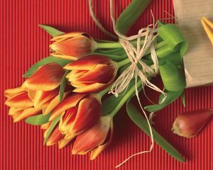 Preview wallpaper tulips, flowers, flower, petals, rope, paper