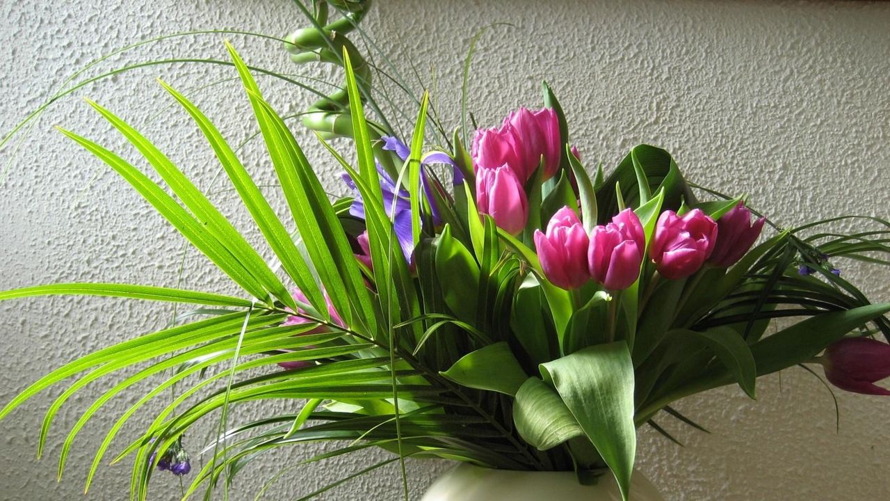 Wallpaper tulips, flowers, flower, leaves, greenery, vase, wall