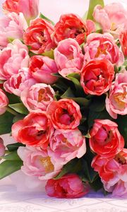 Preview wallpaper tulips, flowers, flower, flowing, beautiful, tender