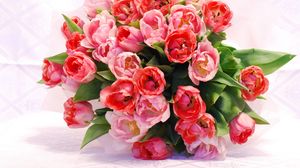 Preview wallpaper tulips, flowers, flower, flowing, beautiful, tender