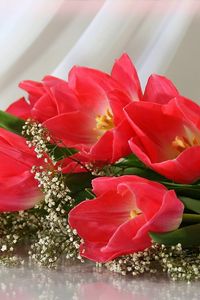 Preview wallpaper tulips, flowers, flowing, bouquet, babys breath, tenderness