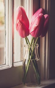 Preview wallpaper tulips, flowers, jar, window