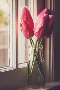 Preview wallpaper tulips, flowers, jar, window