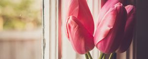 Preview wallpaper tulips, flowers, jar, window