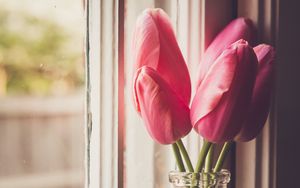 Preview wallpaper tulips, flowers, jar, window