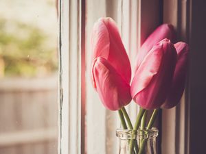 Preview wallpaper tulips, flowers, jar, window