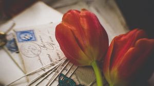 Preview wallpaper tulips, flowers, letters, envelopes, aesthetics