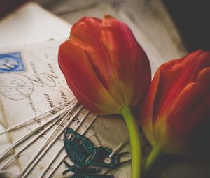 Preview wallpaper tulips, flowers, letters, envelopes, aesthetics