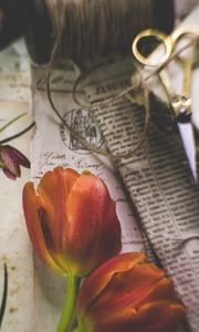 Preview wallpaper tulips, flowers, newspapers, scissors, aesthetics