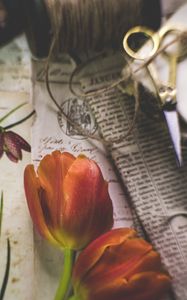 Preview wallpaper tulips, flowers, newspapers, scissors, aesthetics