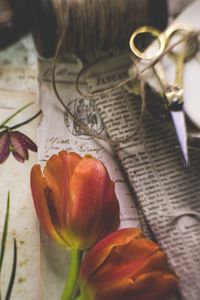 Preview wallpaper tulips, flowers, newspapers, scissors, aesthetics