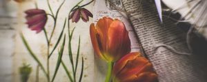 Preview wallpaper tulips, flowers, newspapers, scissors, aesthetics