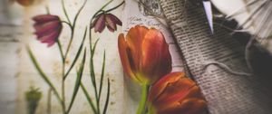 Preview wallpaper tulips, flowers, newspapers, scissors, aesthetics