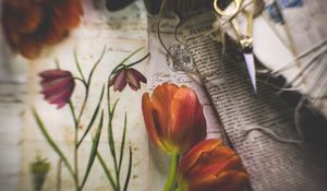 Preview wallpaper tulips, flowers, newspapers, scissors, aesthetics