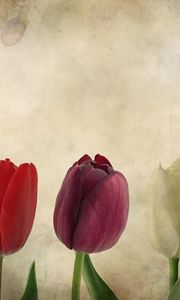Preview wallpaper tulips, flowers, number, paper