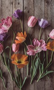 Preview wallpaper tulips, flowers, petals, wood, boards