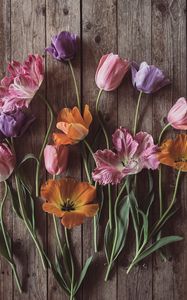 Preview wallpaper tulips, flowers, petals, wood, boards