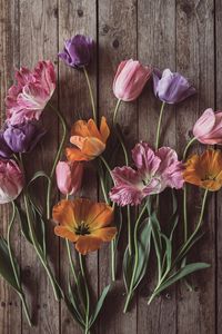 Preview wallpaper tulips, flowers, petals, wood, boards