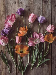 Preview wallpaper tulips, flowers, petals, wood, boards