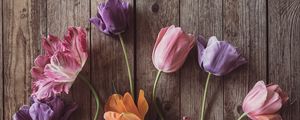 Preview wallpaper tulips, flowers, petals, wood, boards