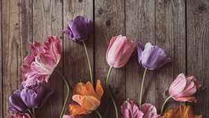 Preview wallpaper tulips, flowers, petals, wood, boards