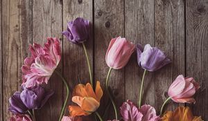 Preview wallpaper tulips, flowers, petals, wood, boards