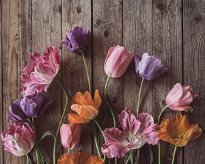 Preview wallpaper tulips, flowers, petals, wood, boards