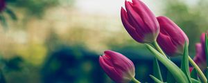 Preview wallpaper tulips, flowers, pink