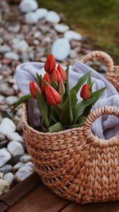 Preview wallpaper tulips, flowers, red, bouquet, basket