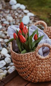 Preview wallpaper tulips, flowers, red, bouquet, basket